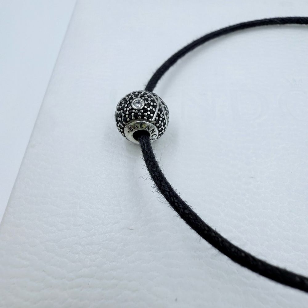 Pandora Bracelet & Charm - Picture 3 of 4